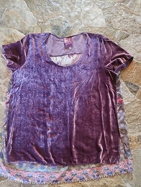 Women’s Purple Velour Short-Sleeve Top